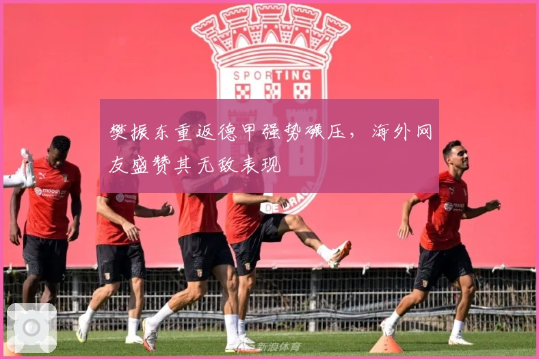 樊振东重返德甲强势碾压，海外网友盛赞其无敌表现