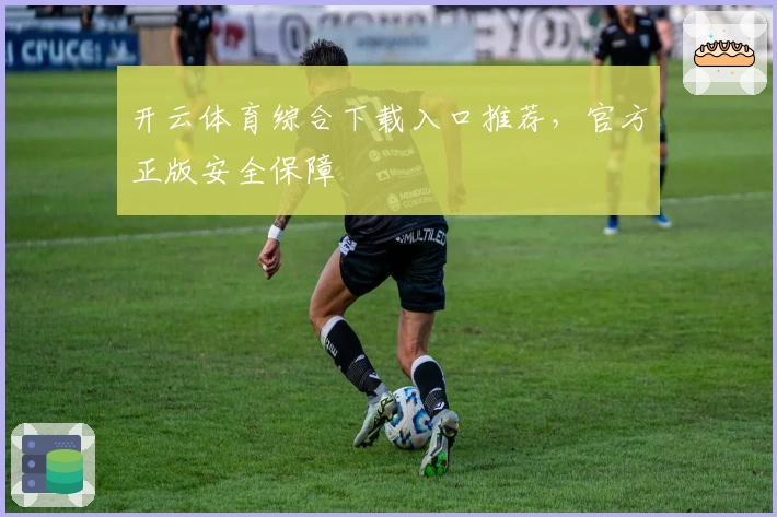 开云体育综合下载入口推荐，官方正版安全保障