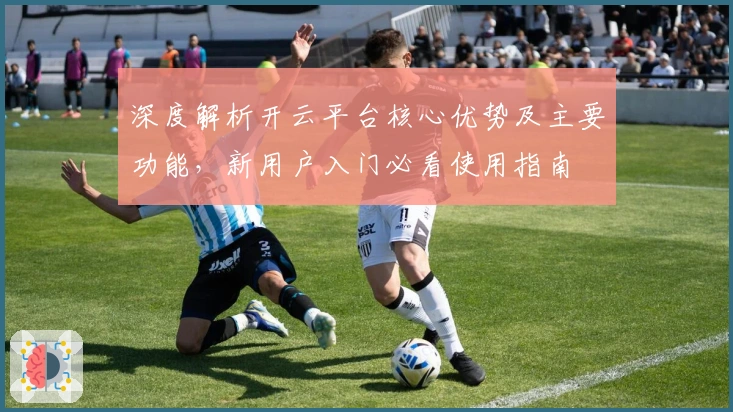 深度解析开云平台核心优势及主要功能，新用户入门必看使用指南