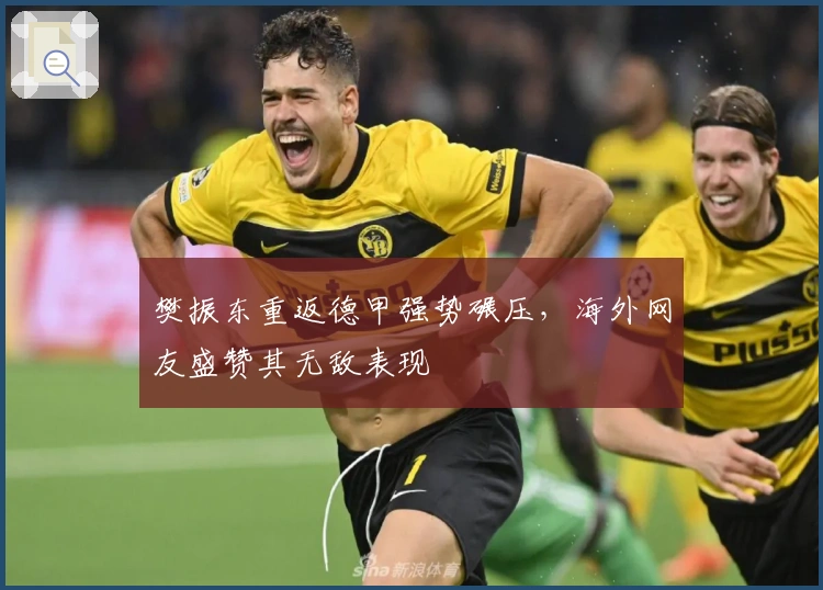 樊振东重返德甲强势碾压，海外网友盛赞其无敌表现